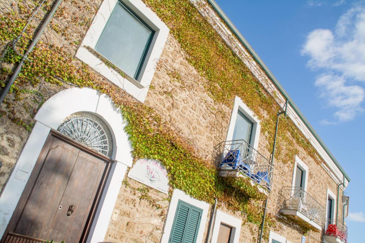 La Belle Vie B&B Santa Maria di Castellabate Exterior foto